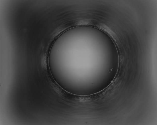 X0000100770345200806191246