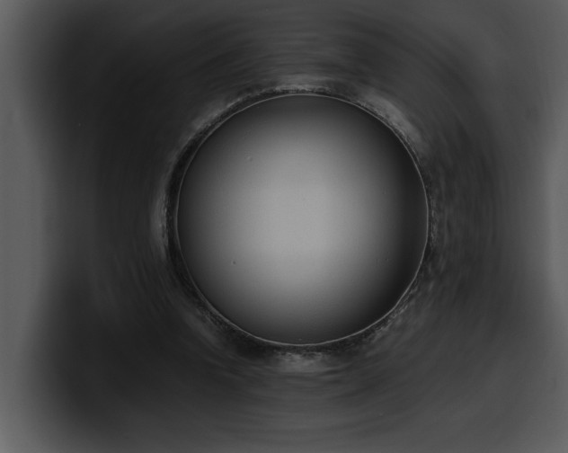 X0000100770346200806191246