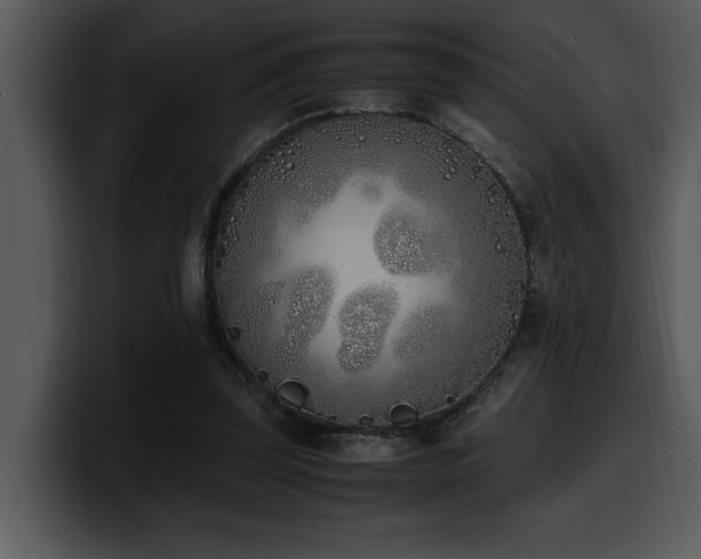 X0000100770347200806191246