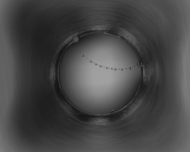 X0000100770348200806191246