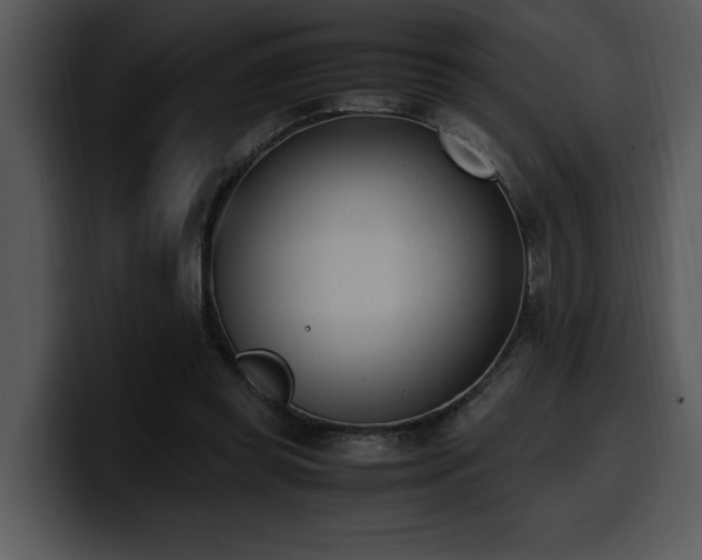 X0000100770349200806191246