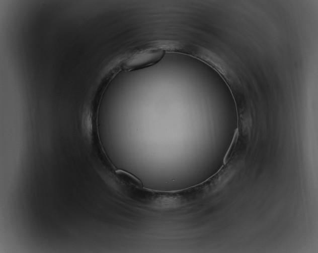 X0000100770350200806191246