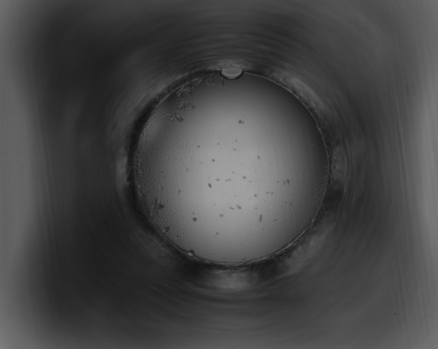 X0000100770351200806191246