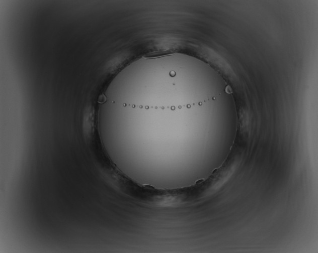 X0000100770356200806191246