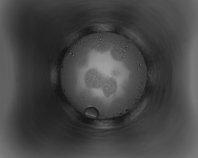 X0000100770359200806191246