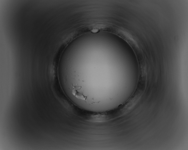 X0000100770362200806191246