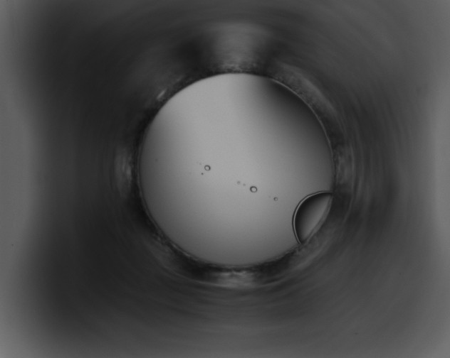X0000100770363200806191246