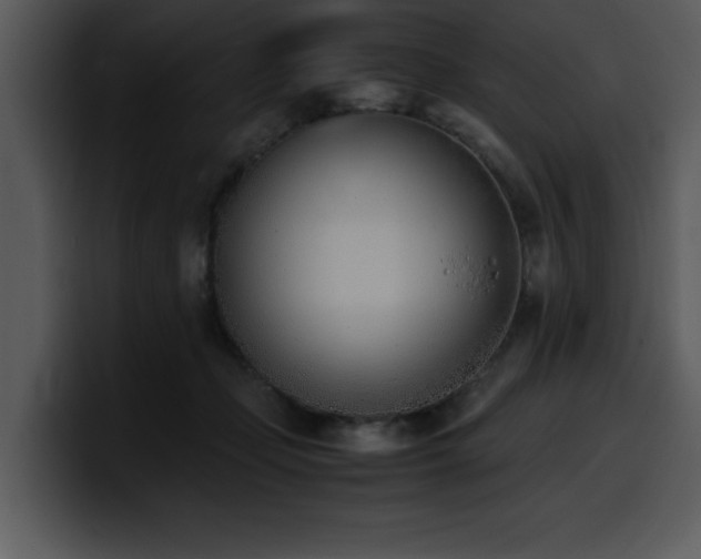 X0000100770365200806191246