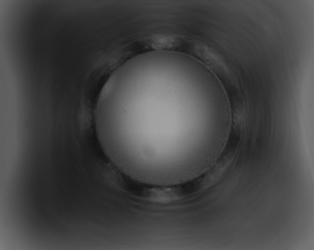 X0000100770367200806191246