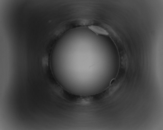 X0000100770368200806191246