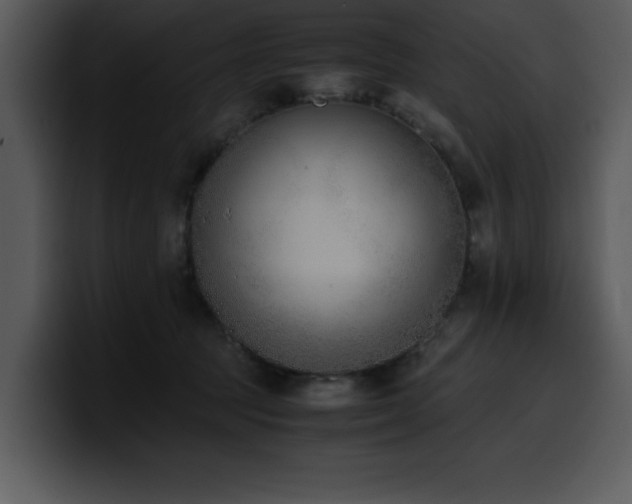 X0000100770369200806191246