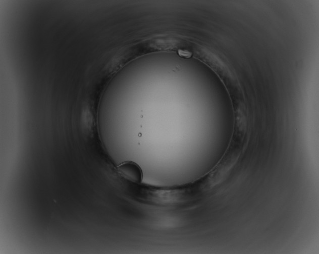 X0000100770371200806191246