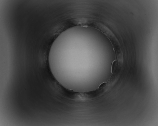 X0000100770372200806191246