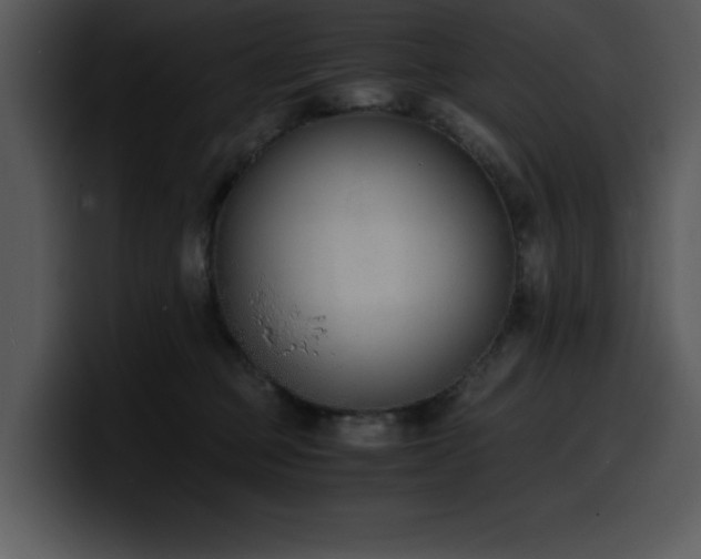 X0000100770373200806191246