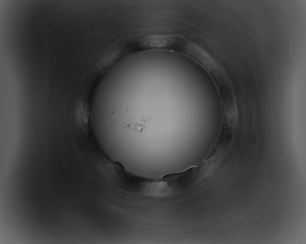 X0000100770374200806191246