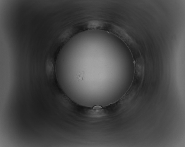 X0000100770375200806191246