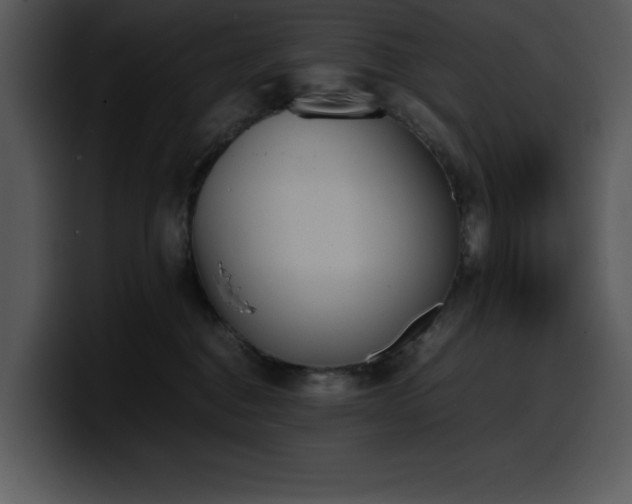 X0000100770376200806191246