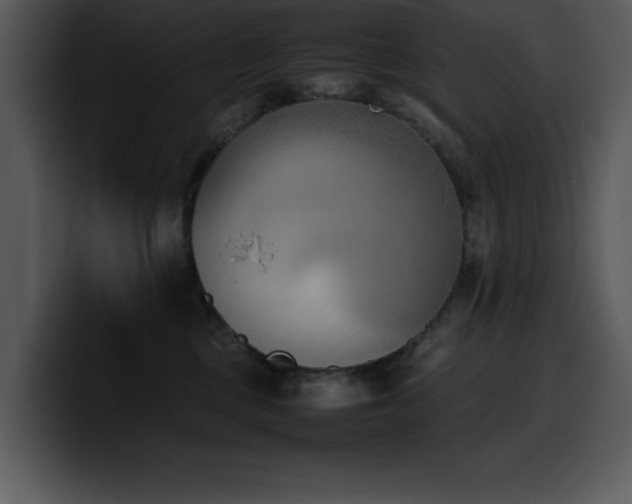 X0000100770377200806191246