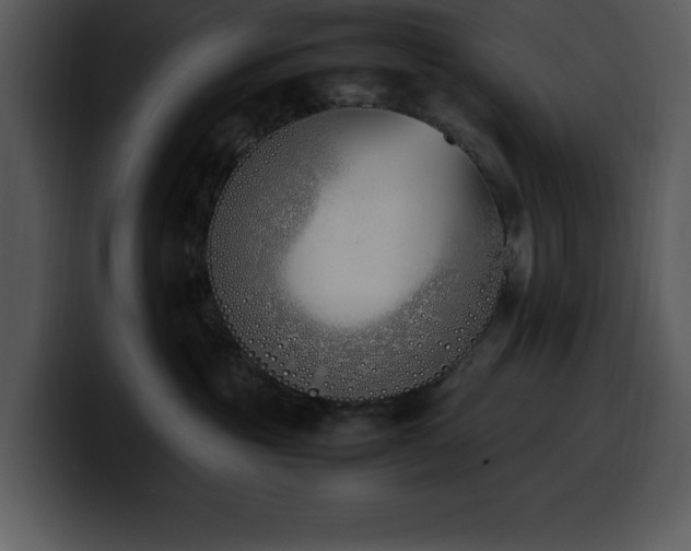 X0000100770381200806191246