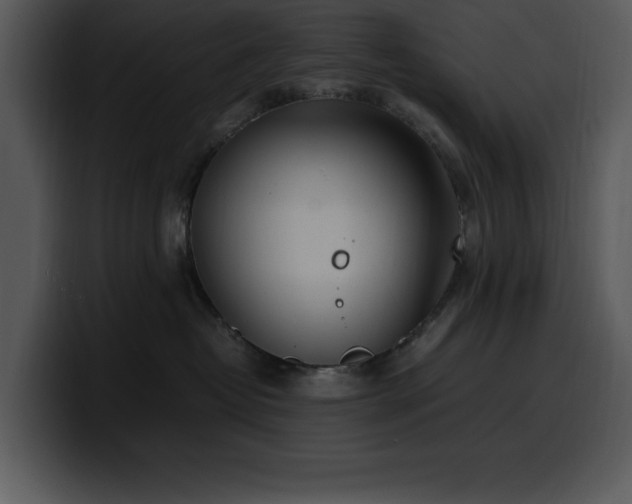 X0000100770382200806191246