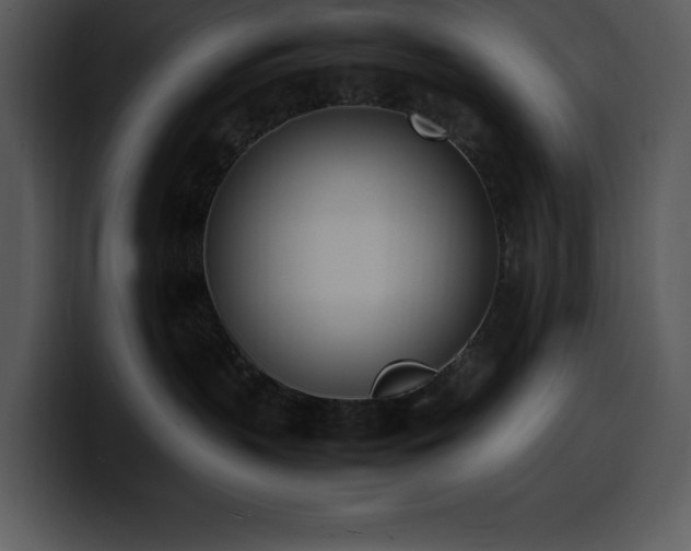 X0000100770383200806191246