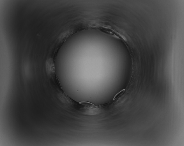 X0000100770384200806191246