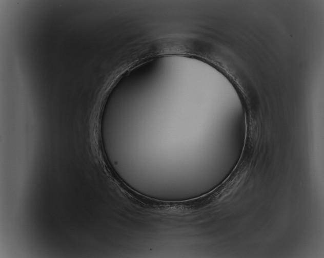 X0000100770385200806191246