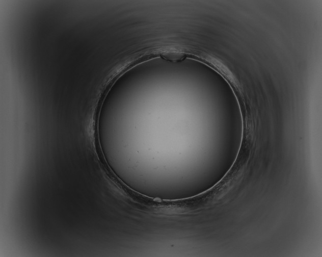 X0000100770389200806191246