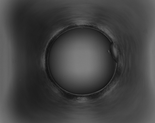 X0000100770391200806191245