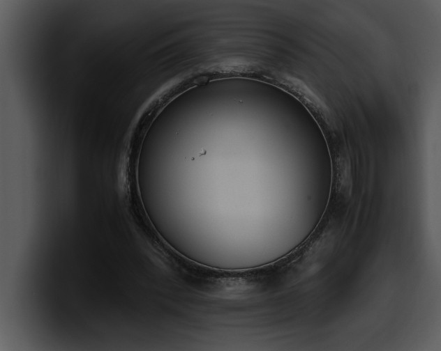 X0000100770392200806191245