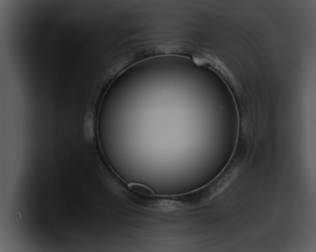 X0000100770393200806191245
