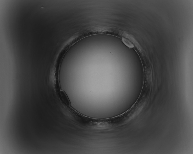 X0000100770395200806191245