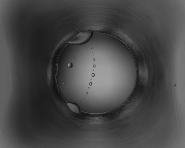 X0000100770396200806191245