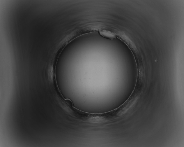 X0000100770397200806191245