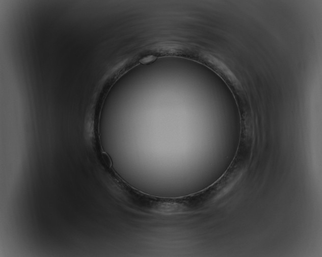 X0000100770399200806191245