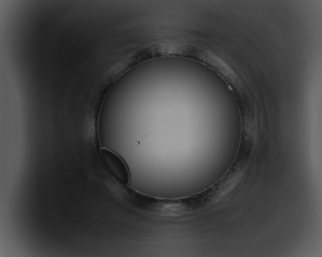 X0000100770401200806191245