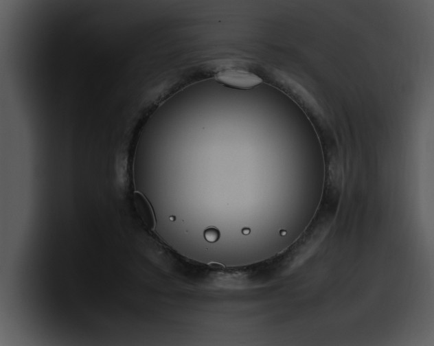 X0000100770403200806191245