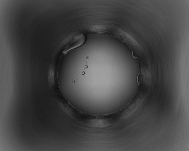 X0000100770404200806191245