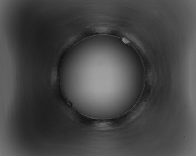 X0000100770407200806191245