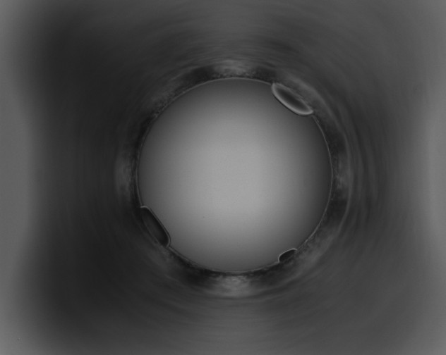 X0000100770409200806191245