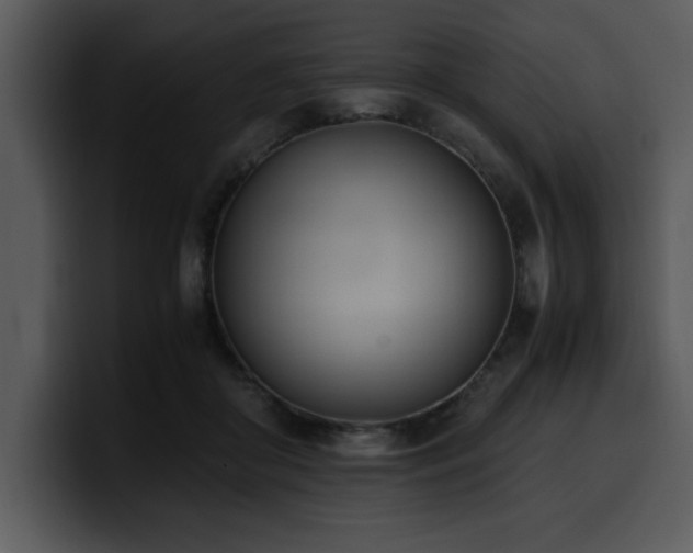 X0000100770410200806191245