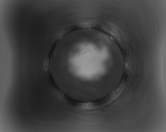 X0000100770411200806191245