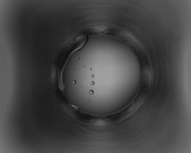 X0000100770412200806191245