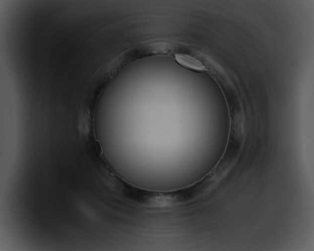 X0000100770413200806191245