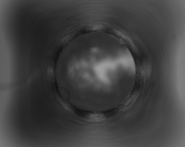 X0000100770415200806191245