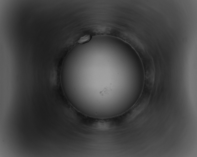 X0000100770416200806191245