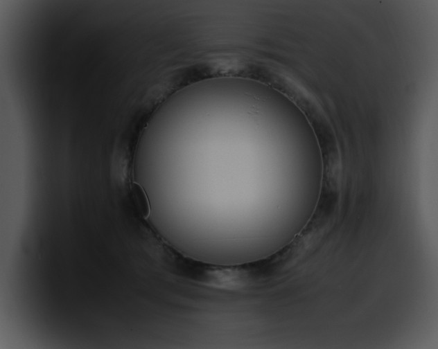 X0000100770417200806191245