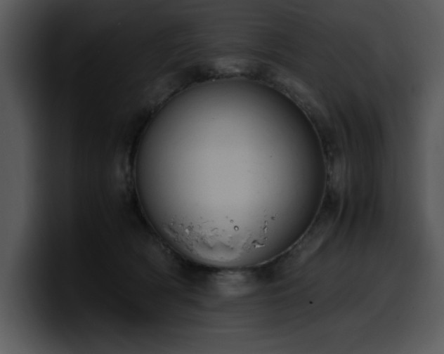 X0000100770418200806191245