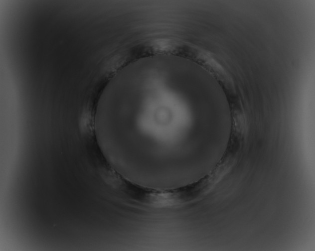 X0000100770419200806191245