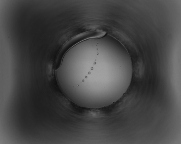 X0000100770420200806191245